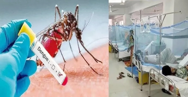 চলতি বছর ডেঙ্গুতে প্রাণহানি ৪০, এক দিনে হাসপাতালে ভর্তি ৪৩৯