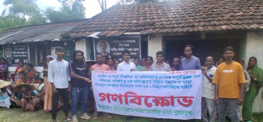 চা শ্রমিকদের ৫০০ টাকা মজুরি কার্যকরের দাবিতে কমলগঞ্জে গণবিক্ষোভ