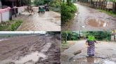 অসংখ্য গর্ত ও ভাঙাচোরায় বেহাল অবস্থা গাজী বুরহান উদ্দিন সড়কের