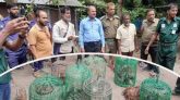 হবিগঞ্জে যৌথ অভিযানে ২৪ বন্যপাখি উদ্ধার