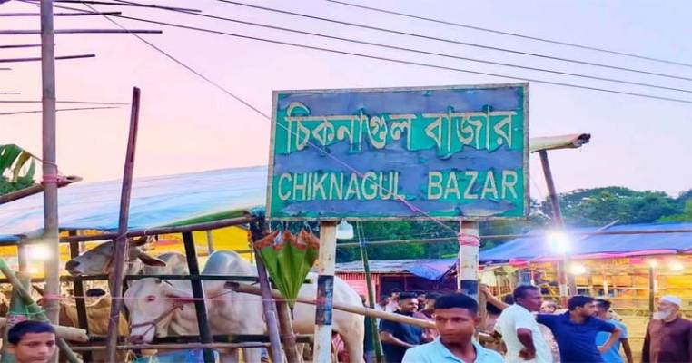 জৈন্তাপুরে ৫ দিনের অস্থায়ী পশুর হাট দেড় মাস পরও বহাল