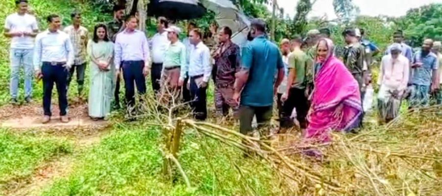 কমলগঞ্জে কমলা গাছ কাটার ঘটনায় উচ্চতর তদন্ত কমিটির ঘটনাস্থল পরিদর্শন
