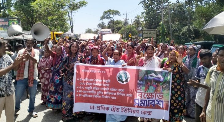 মজুরি বৃদ্ধির দাবিতে সিলেটে চা-শ্রমিকদের সড়ক অবরোধ ও বিক্ষোভ