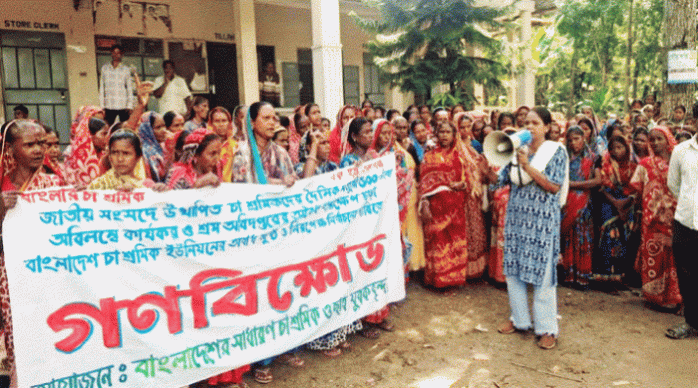 রাজনগরে ৫০০ টাকা মজুরি ও ভূমির দাবিতে চা শ্রমিকদের বিক্ষোভ