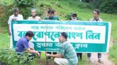 সুরমা বয়েজ ক্লাবের উদ্যোগে বৃক্ষরোপণ