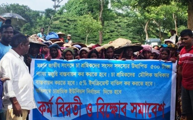 সিলেটে গুলনী চা বাগানে শ্রমিকদের কর্মবিরতি ও বিক্ষোভ