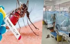 ডেঙ্গুতে আরও ২ জনের মৃত্যু, হাসপাতালে ভর্তি ৬৭২