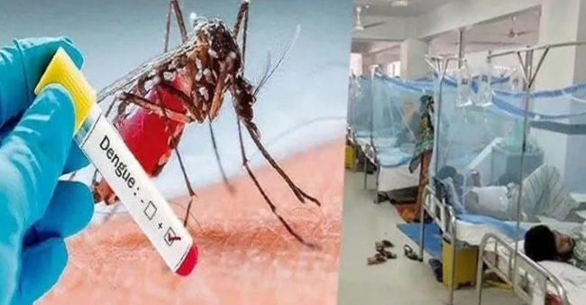 ডেঙ্গুতে আরও ২ জনের মৃত্যু, হাসপাতালে ভর্তি ৬৭২
