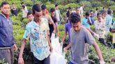 রাজনগরে বিয়ের এক মাস পর চা বাগানে স্বামী-স্ত্রীর ঝুলন্ত মরদেহ