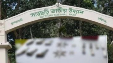 সাতছড়ি বনে মাটির নিচে মিললো বিপুল পরিমাণ পিস্তল-গুলি