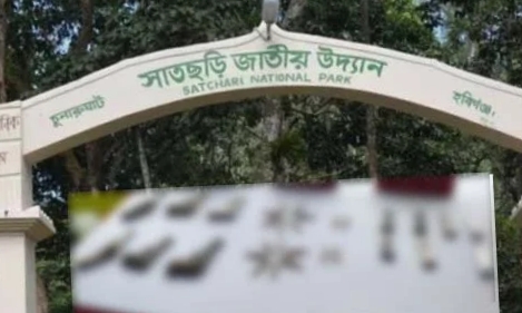 সাতছড়ি বনে মাটির নিচে মিললো বিপুল পরিমাণ পিস্তল-গুলি