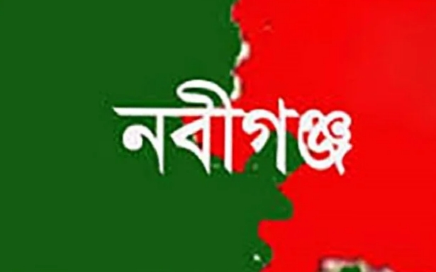 হবিগঞ্জে বড় ভাইয়ের ছুরিকাঘাতে প্রাণ গেল ছোট বোনের