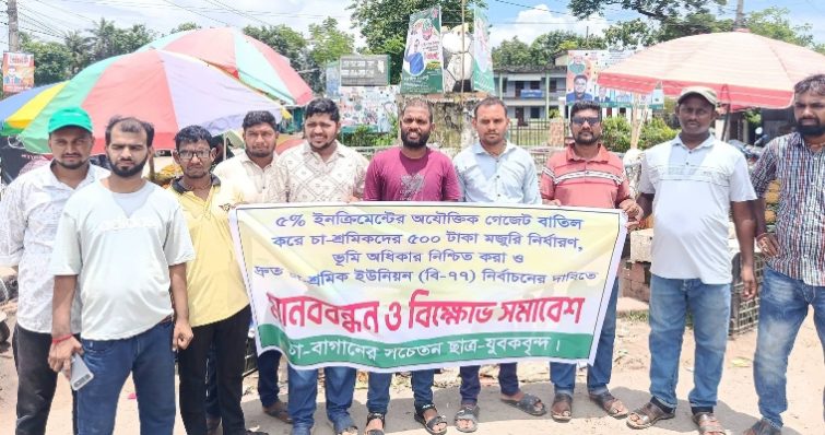 দৈনিক ৫০০ টাকা মজুরির দাবিতে কমলগঞ্জে চা-শ্রমিকদের মানববন্ধন