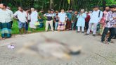 জৈন্তাপুরে বাসচাপায় মাদরাসাছাত্রী নিহত, আহত ৩