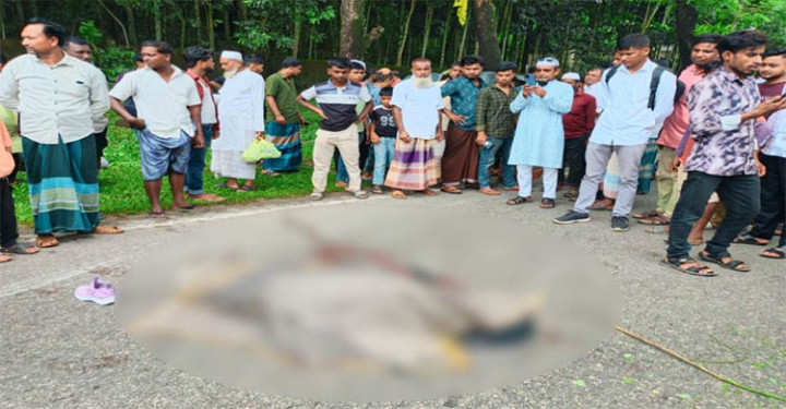 জৈন্তাপুরে বাসচাপায় মাদরাসাছাত্রী নিহত, আহত ৩