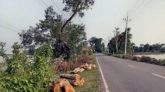 ছাতক-গোবিন্দগঞ্জ সড়কে ৪৩৪ গাছ কাটা নিয়ে জনমনে নানা প্রশ্ন