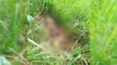 হবিগঞ্জে ধানের জমিতে যুবকের রক্তাক্ত মরদেহ