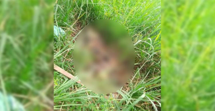 হবিগঞ্জে ধানের জমিতে যুবকের রক্তাক্ত মরদেহ