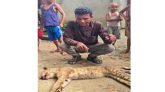 গোয়াইনঘাটে মেছো বাঘ পিটিয়ে হত্যা, সামাজিক যোগাযোগমাধ্যমে ভিডিও ছড়ানোর অভিযোগ