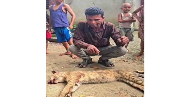 গোয়াইনঘাটে মেছো বাঘ পিটিয়ে হত্যা, সামাজিক যোগাযোগমাধ্যমে ভিডিও ছড়ানোর অভিযোগ