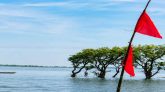 টাঙ্গুয়ার হাওরে লাল নিশান, পর্যটকদের জন্য ৬ নির্দেশনা