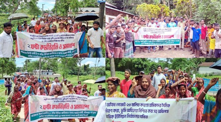 সিলেটে ৫০০ টাকা মজুরিসহ ৪ দাবিতে চা শ্রমিকদের কর্মবিরতি-বিক্ষোভ মিছিল