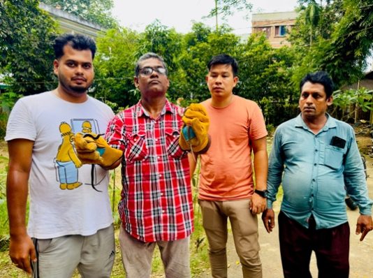 কমলগঞ্জে বসতঘর থেকে পাঁচটি বিষাক্ত মনোক্লেড কোবরা সাপের বাচ্চা উদ্ধার