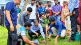 হবিগঞ্জ কৃষি বিশ্ববিদ্যালয়ে বৃক্ষরোপণ