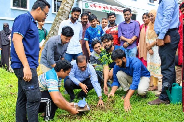 হবিগঞ্জ কৃষি বিশ্ববিদ্যালয়ে বৃক্ষরোপণ