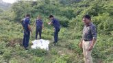 হবিগঞ্জে চা বাগান থেকে বৃদ্ধের মরদেহ উদ্ধার