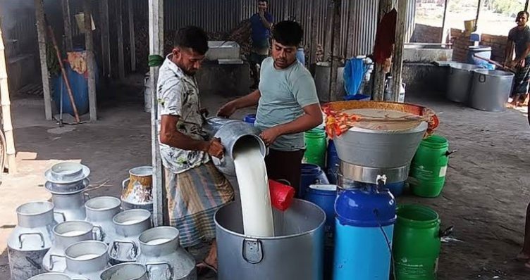 লিটারে ১০ টাকা বেড়েছে মিল্কভিটা দুধের দাম, নেপথ্যে যে কারণ