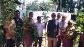 শ্রীমঙ্গলের ভুনবীর ইউনিয়নে ফলদ, ভেষজ ও বনজ বৃক্ষচারা বিতরণ