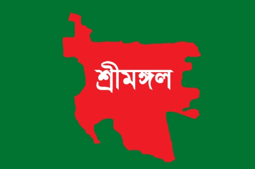 শ্রীমঙ্গলে চা-বাগানের ড্রেনে পড়ে নারী শ্রমিকের মৃত্যু, মরদেহ উদ্ধার