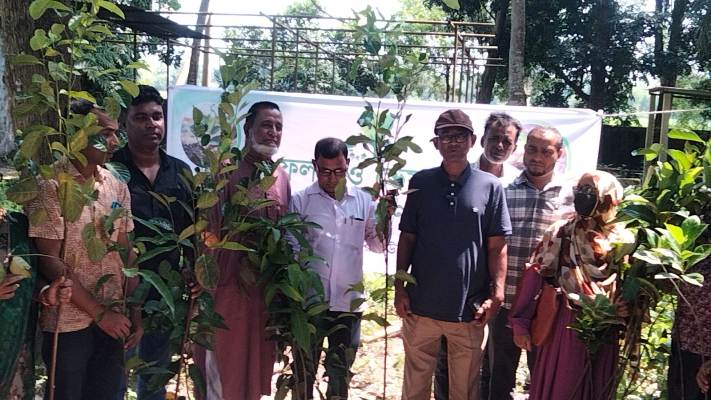 শ্রীমঙ্গলের ভুনবীর ইউনিয়নে ফলদ, ভেষজ ও বনজ বৃক্ষচারা বিতরণ
