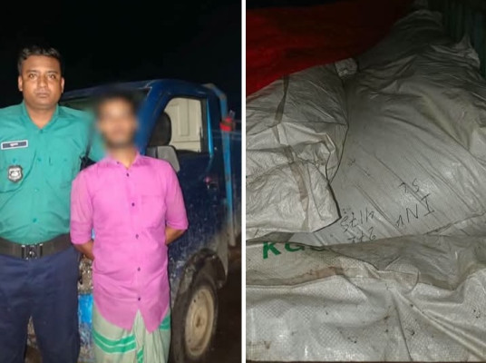সিলেটে ভারতীয় ৯০০ কেজি চা পাতার গুঁড়াসহ যুবক আটক