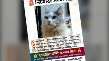 বিড়ালের সন্ধানে মাইকিং-ফেসবুকে পোস্ট, পুরস্কার ঘোষণা!