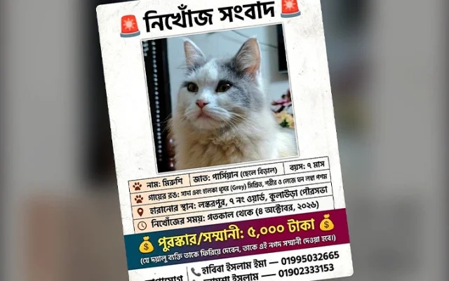 বিড়ালের সন্ধানে মাইকিং-ফেসবুকে পোস্ট, পুরস্কার ঘোষণা!
