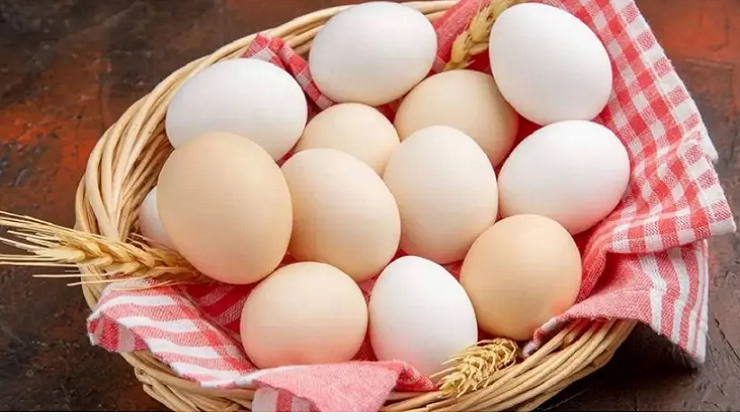 বিশ্ব ডিম দিবস আজ