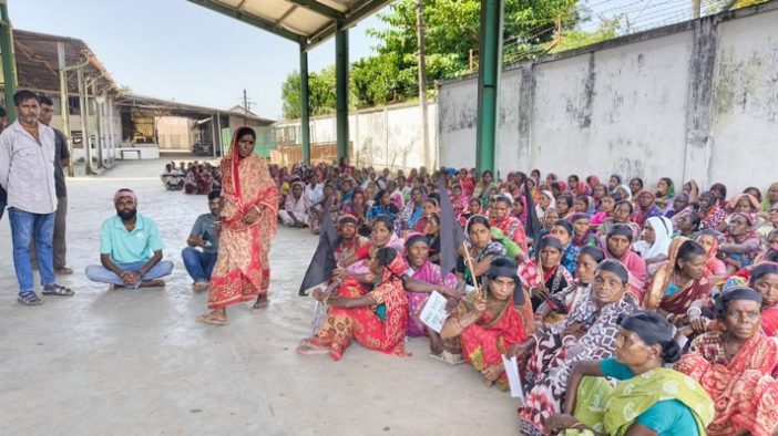 কমলগঞ্জে মিরতিংগা চা বাগানে চা শ্রমিকদের অবস্থান ধর্মঘট