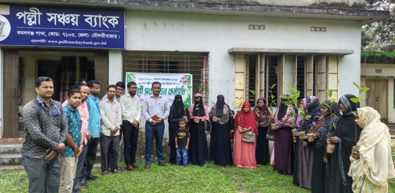 কমলগঞ্জে পল্লী সঞ্চয় ব্যাংকের বৃক্ষরোপন ও চারা বিতরণ