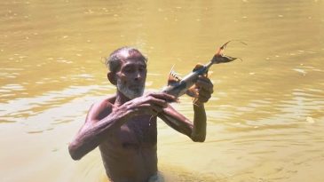 কমলগঞ্জে ধলাই নদীতে বিষ দিয়ে মাছ নিধন, স্বাস্থ্যঝুঁকিতে স্থানীয়রা