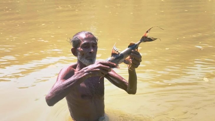 কমলগঞ্জে ধলাই নদীতে বিষ দিয়ে মাছ নিধন, স্বাস্থ্যঝুঁকিতে স্থানীয়রা