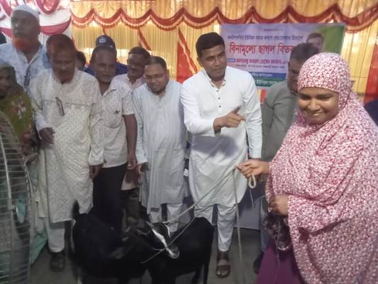 পঞ্চগড়ে দুঃস্থ নারীদের মাঝে ৩৬টি ছাগল বিতরণ