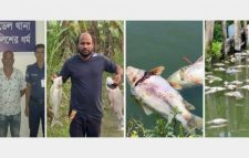 রাজবাড়ীতে প্রবাসীর পুকুরে বিষ প্রয়োগের অভিযোগ, বিএনপি নেতা গ্রেপ্তার