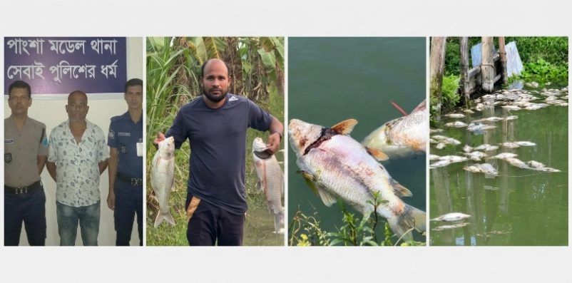 রাজবাড়ীতে প্রবাসীর পুকুরে বিষ প্রয়োগের অভিযোগ, বিএনপি নেতা গ্রেপ্তার